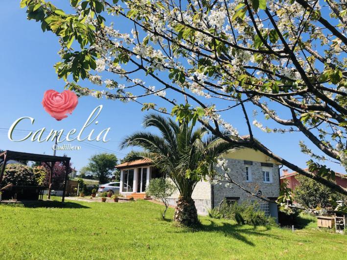 Camelia Casina Rural Villa Albuerne Luaran gambar